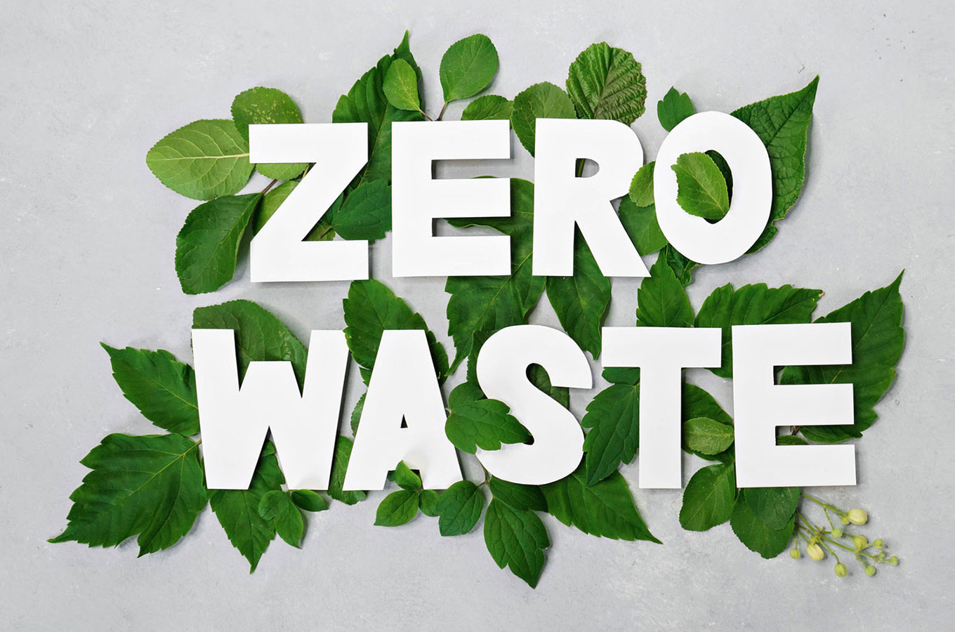 Zero-Waste—No-spreco